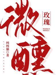微醺什么